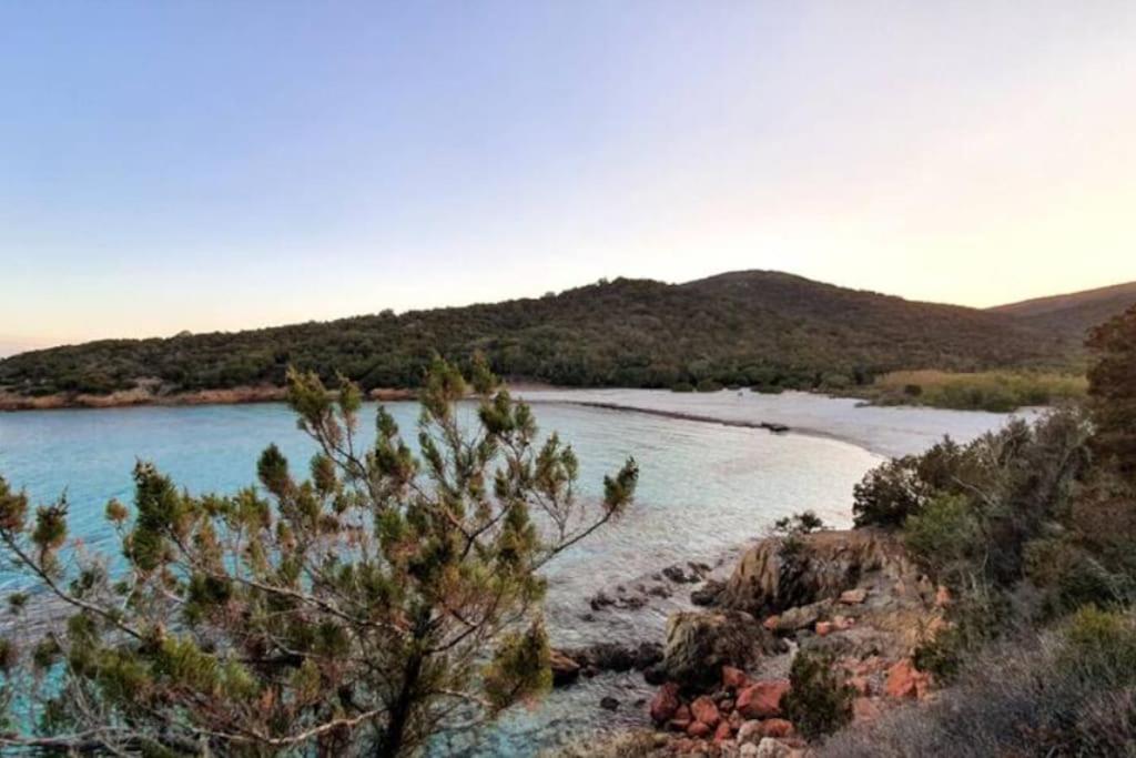 Bergerie #Casa Di Petra A Palombaggia Avec Piscine Villa Porto-Vecchio  Exteriör bild